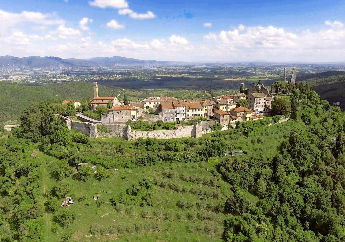 Caffè Corsini, dal 1950 l'Arte del Caffè Made in Tuscany