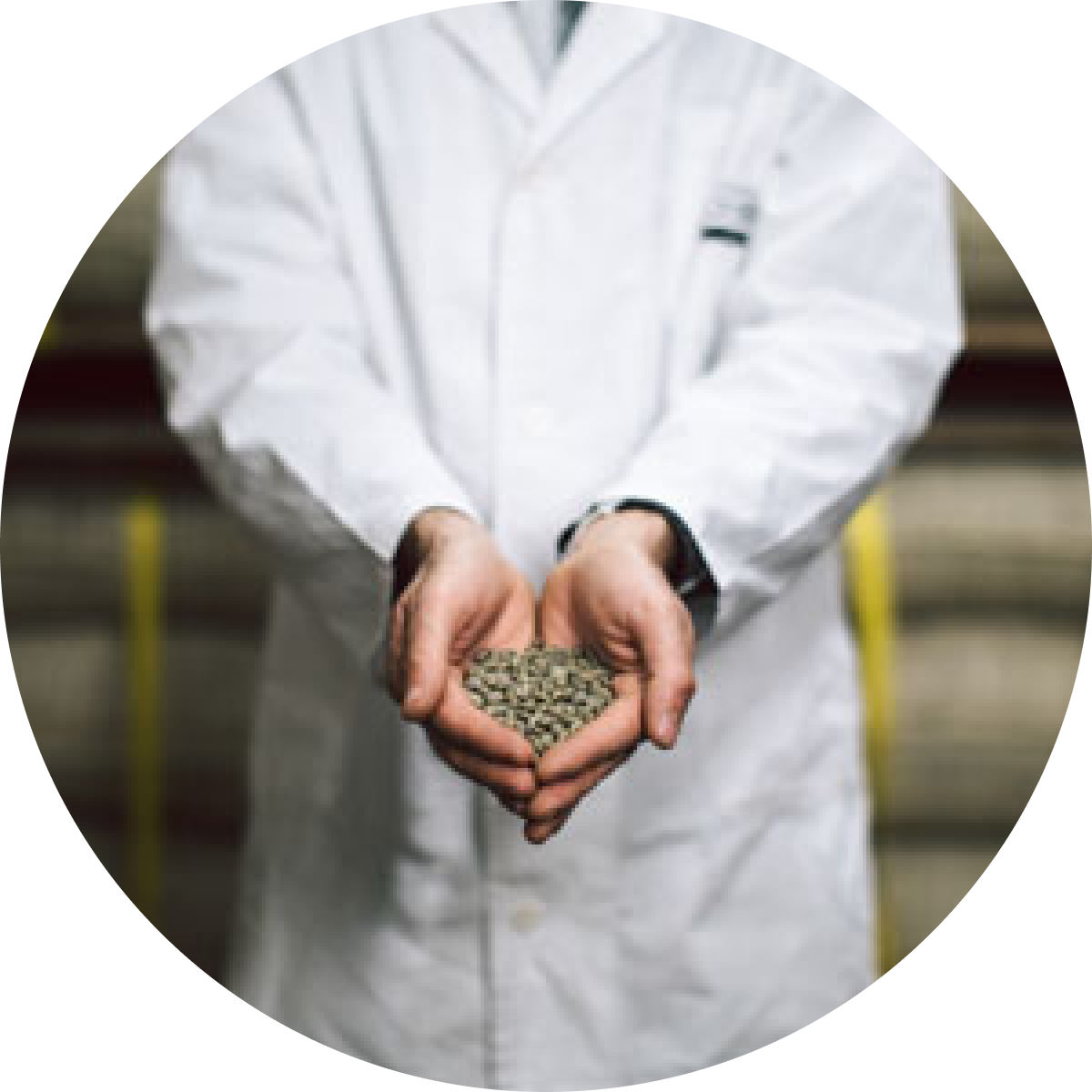 Esperienza e passione, Caffè Corsini
