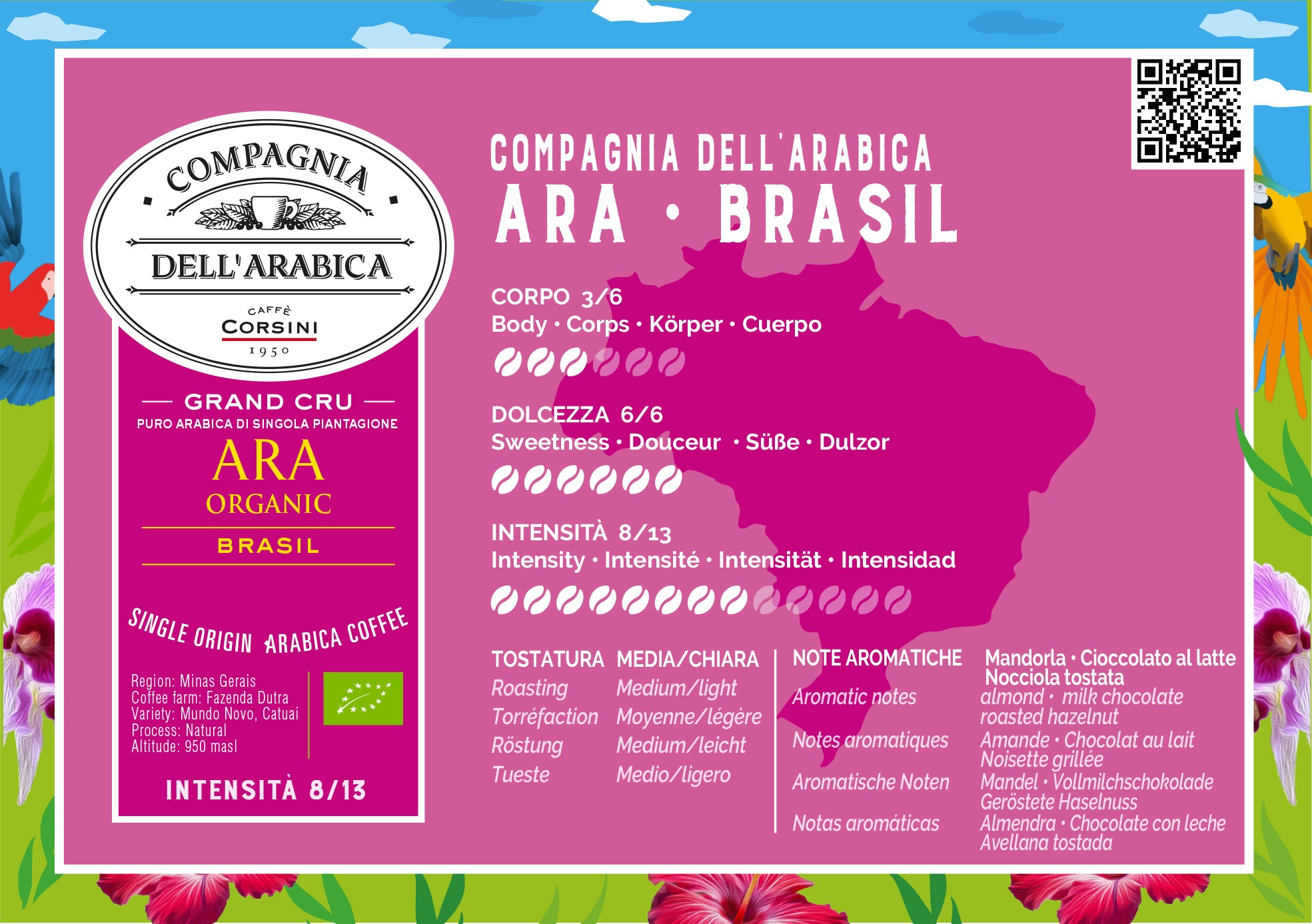 Scheda organolettica Caffè Ara Organic biologico 100% Arabica, Caffè Corsini Compagnia dell'Arabica