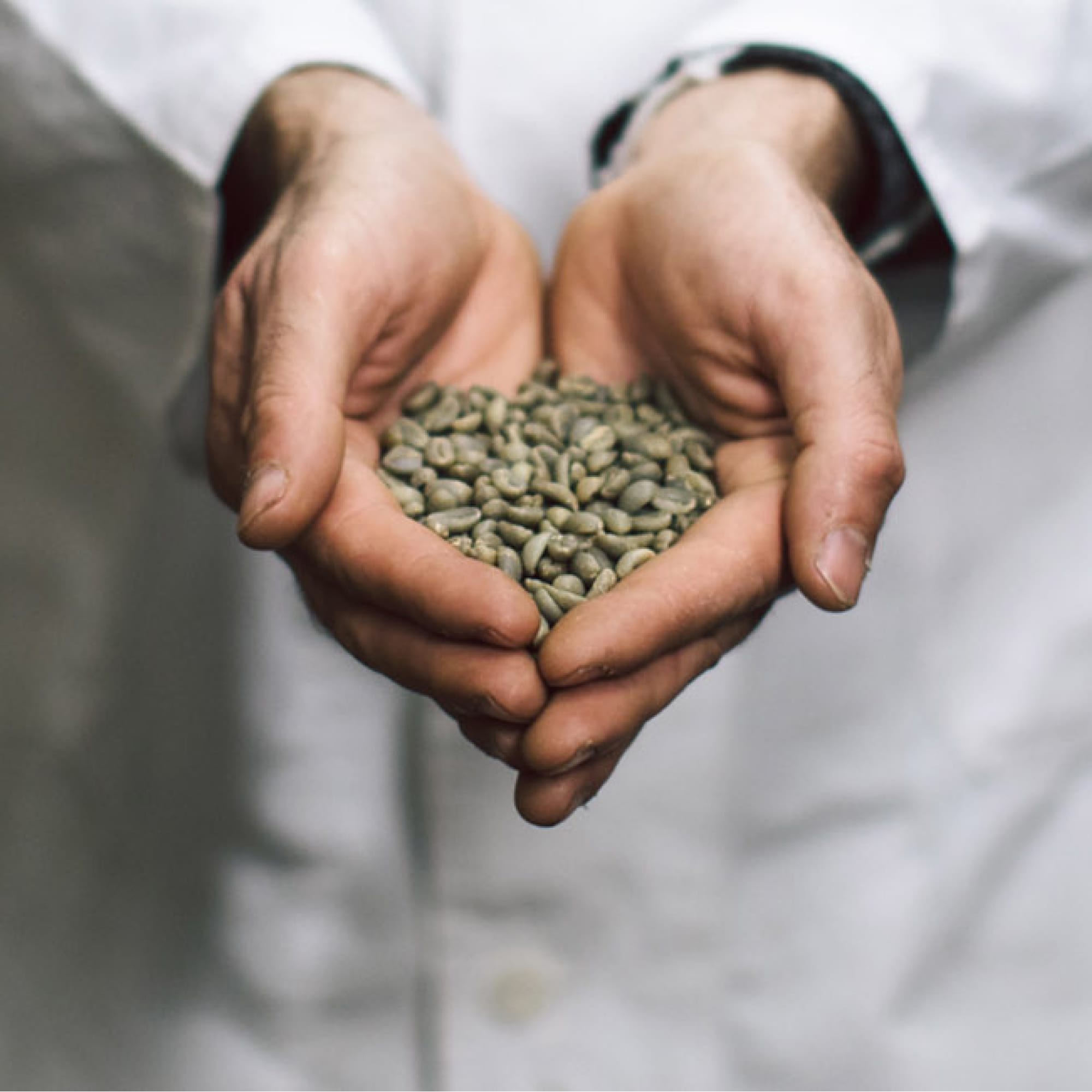 Esperienza e passione, Caffè Corsini