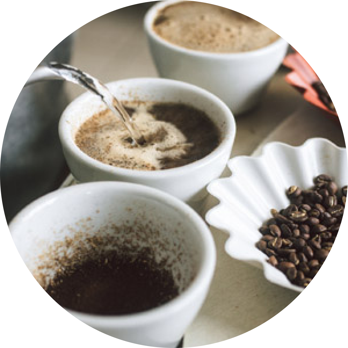 Esperienza e passione, Caffè Corsini