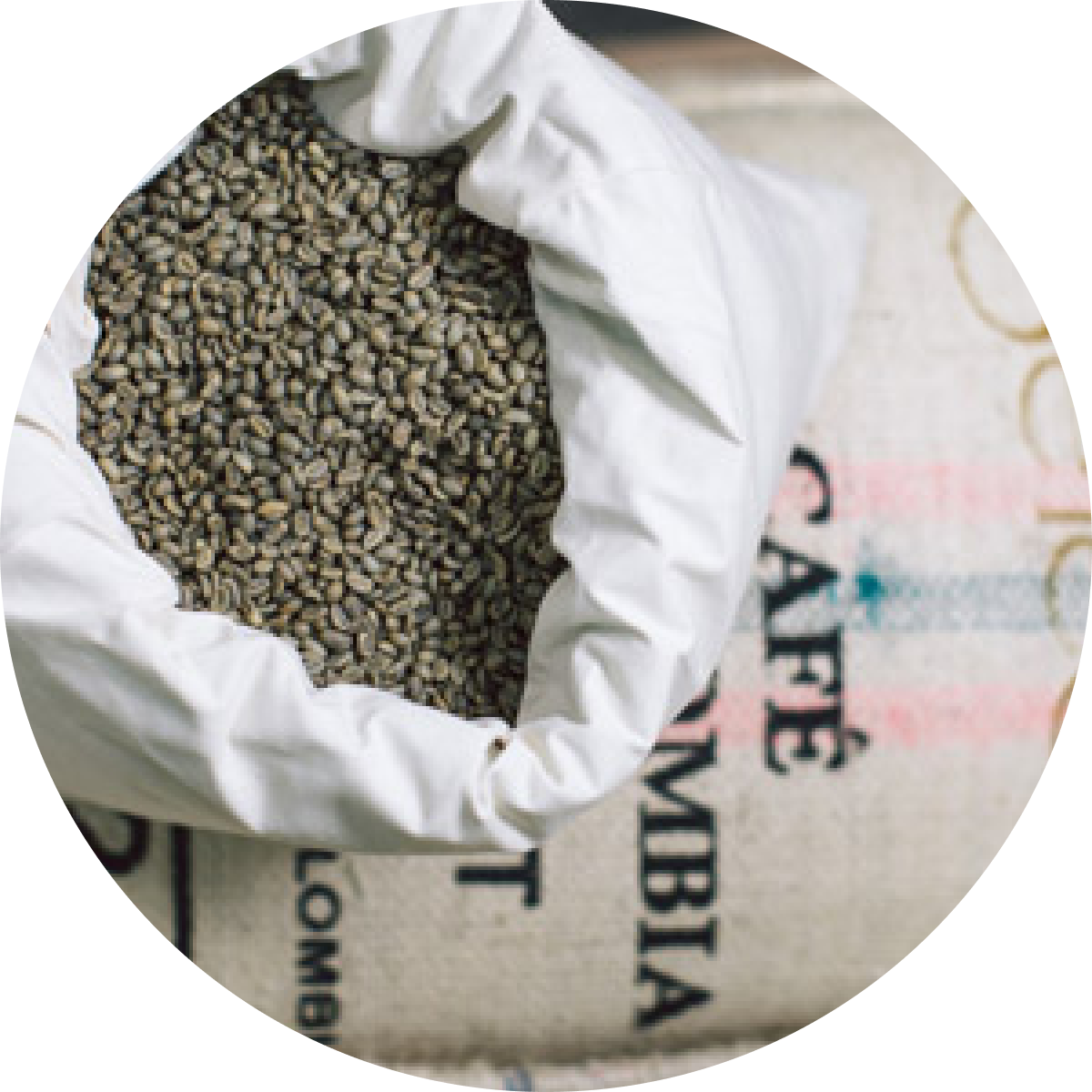 Esperienza e passione, Caffè Corsini